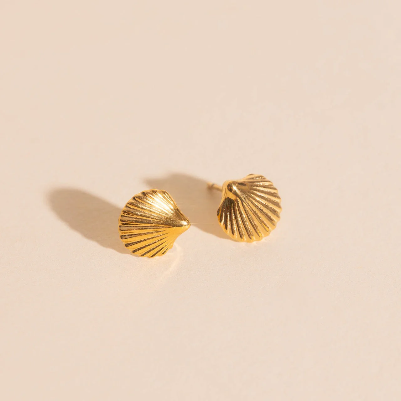 Mini Seashell Stud Earrings - Image 6