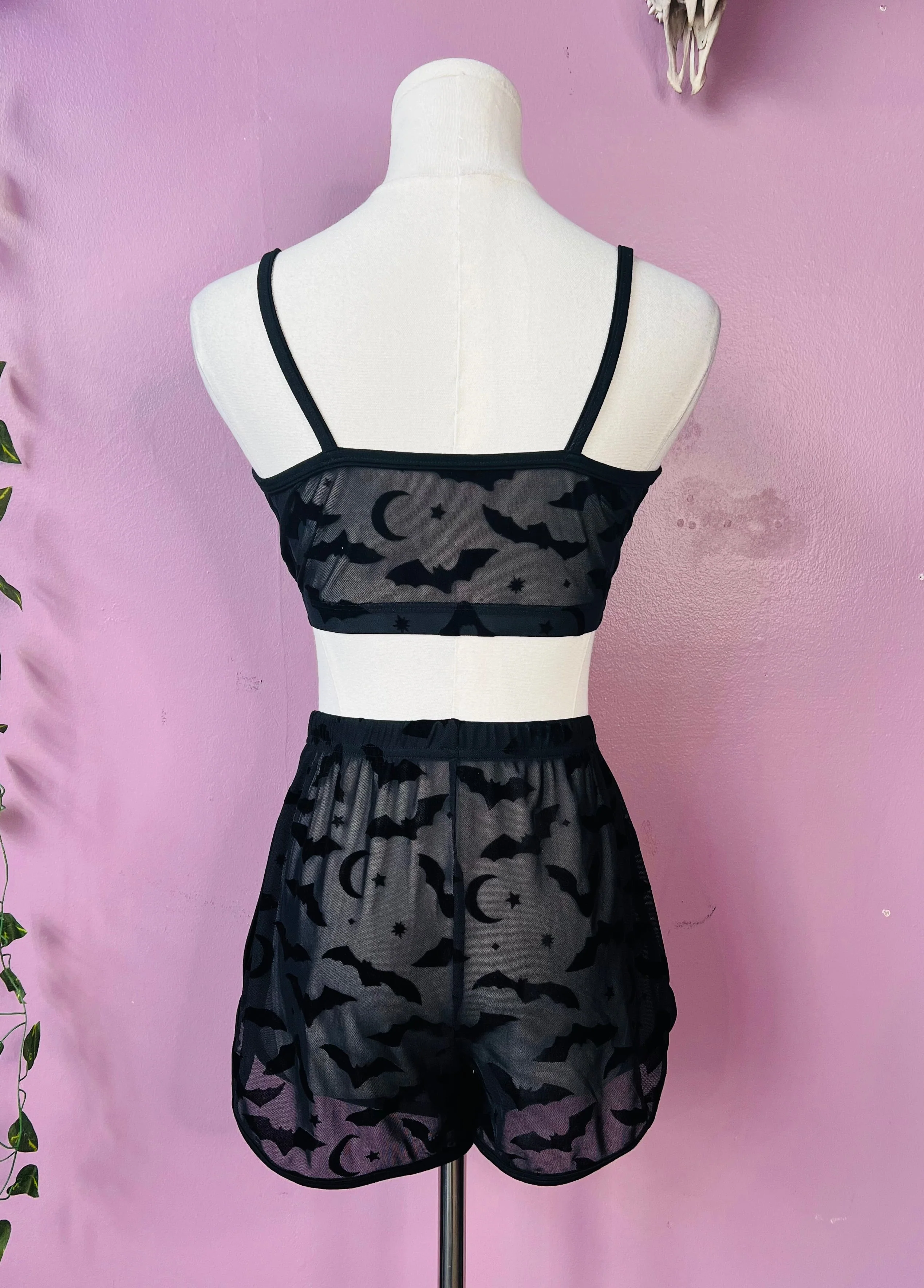 The Sinister Set - BATS - Sheer Velvet Flocked Bra & Shorts Separates - Image 9